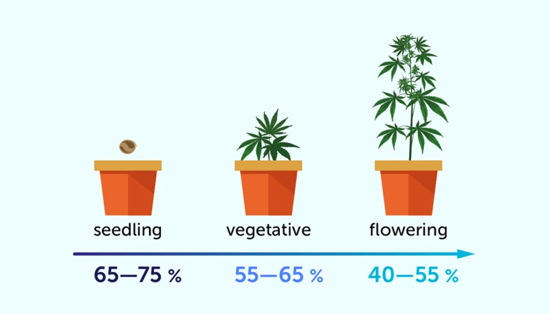 Optimal Watering Techniques In Different Humidity Levels