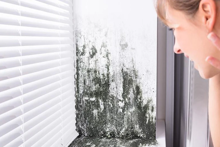 Other Tips To Prevent Mold Growth