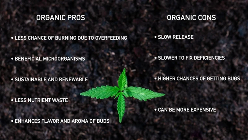 Popular Organic Nutrients For Cannabis