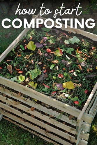 Starting Your Compost