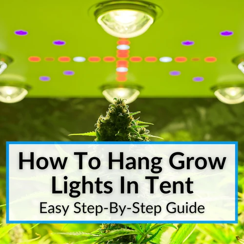 Step-By-Step Guide To Building Your Own Grow Lights