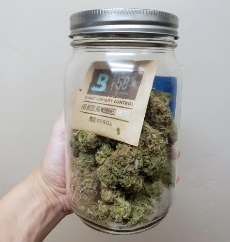 Step-By-Step Guide To Storing Large Quantities Of Cannabis Buds