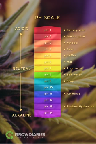Steps To Test Water Ph For Cannabis Plants