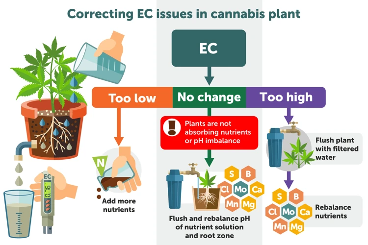 The Importance Of Ec Levels In Growing Cannabis