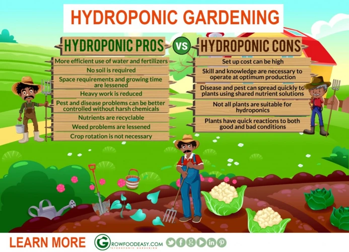 The Pros Of Using Hydroponics