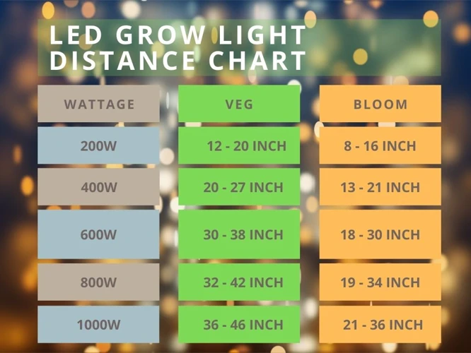 The Right Distance For Cannabis In Different Growth Stages