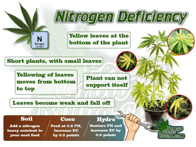 The Role Of Nitrogen, Phosphorus, And Potassium In Cannabis Growth