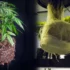 Hydroponic Cannabis Growing Techniques: Maximize Yields and Quality