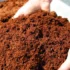 Coco Coir vs Soil: Which is Best for Growing Cannabis?