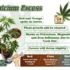 Best Practices for Reusing Coco Coir for Multiple Cannabis Harvests