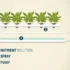 Top 5 Aeroponic Nutrient Solutions for Cannabis Plants