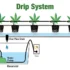 Understanding pH Balance in Soil for Optimal Cannabis Growth