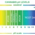 Choosing the Right Water for Your Hydroponic Cannabis Setup: A Complete Guide