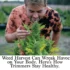 Timing Your Trimming: The Definitive Guide to Boost Your Cannabis Harvest