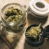 Why Proper Storage Is Crucial for Preserving the Quality of Your Cannabis Buds