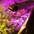 Best Fan for Grow Tent: Choosing the Most Appropriate One