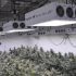 Best 2000 Watt LED Grow Light for Growing Cannabis Indoors