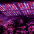 How to Make Your Own Grow Light System?