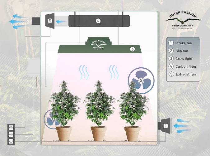 Tips For Adjusting Temperature In Your Grow Room