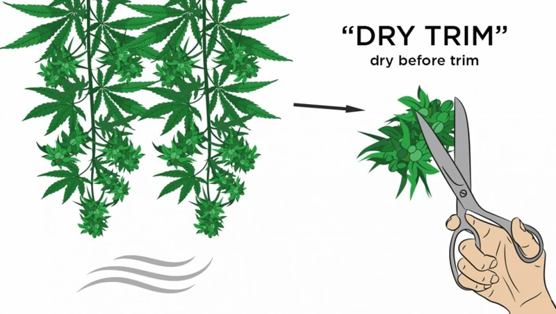 Tips For Optimal Drying Results