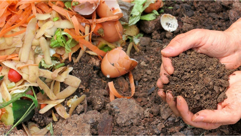 Troubleshooting Composting Problems