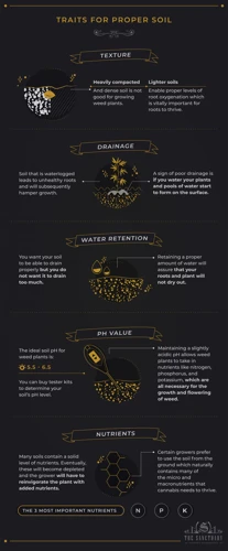 Types Of Cannabis Soil