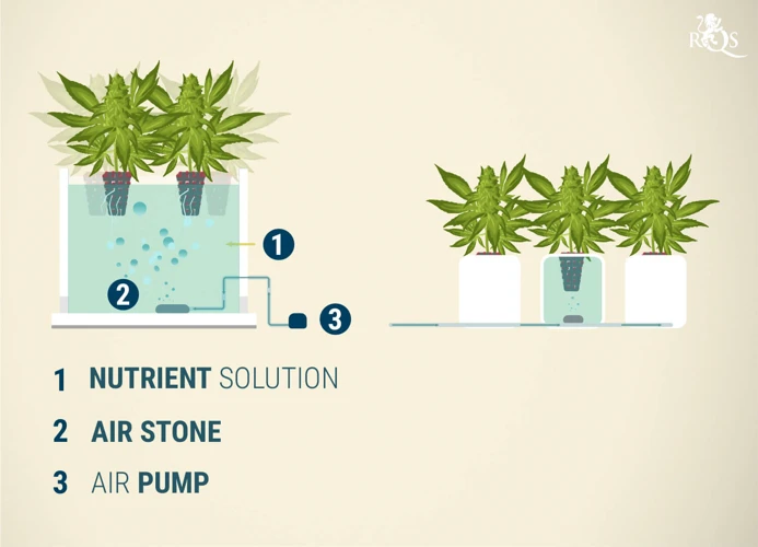 Types Of Water Suitable For Hydroponics