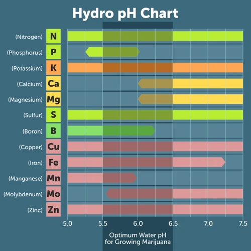 Understanding Ph And Ec Levels In Hydroponics