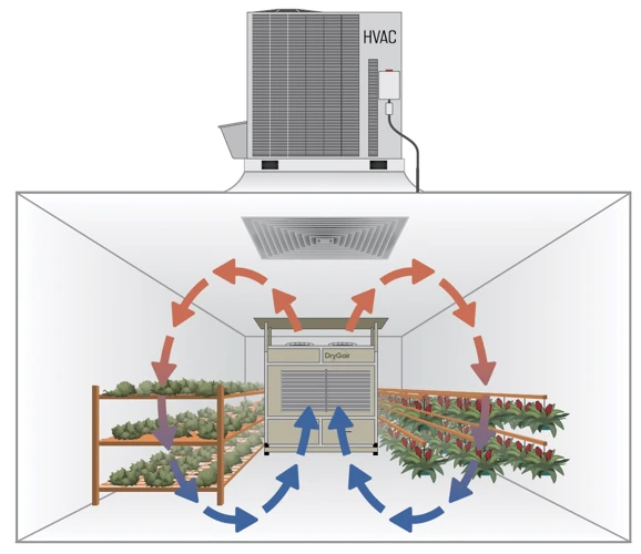 Understanding The Role Of Humidity In Indoor Grow Room Cooling