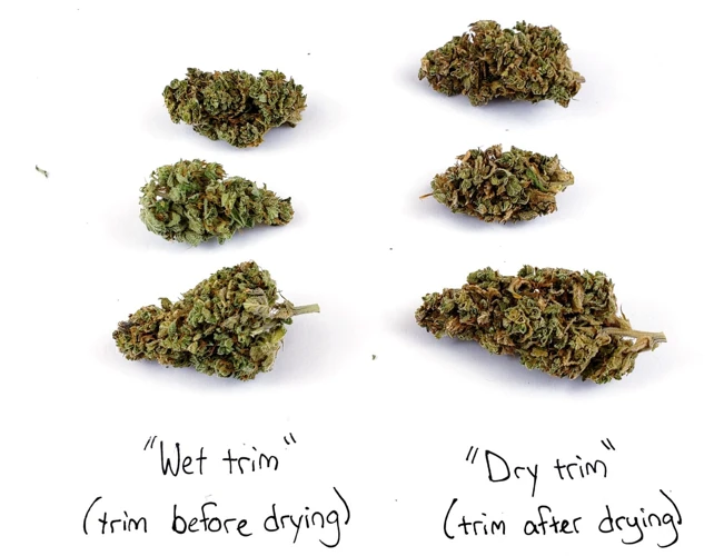 Wet Trimming Vs. Dry Trimming