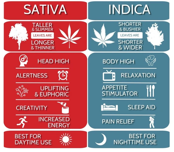 What Are Indica And Sativa Strains?