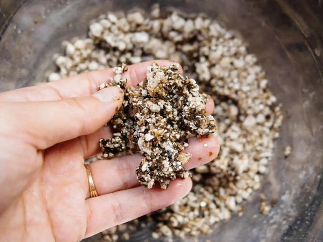 What Are Perlite And Vermiculite?