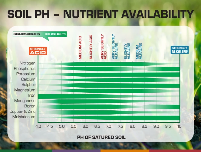 What Are Ph-Perfect Hydroponic Watering Systems?
