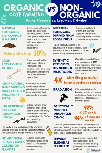 What Is Organic Feeding?