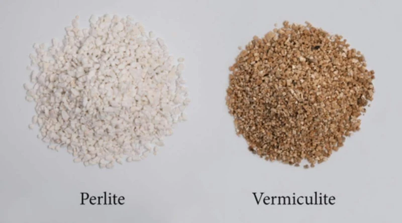 What Is Vermiculite?