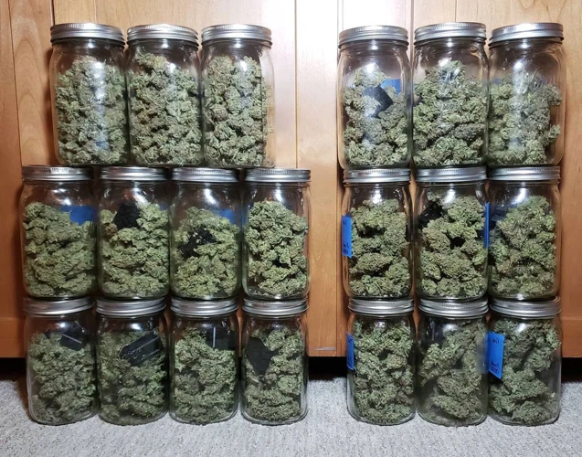 What Not To Do When Storing Cannabis Buds