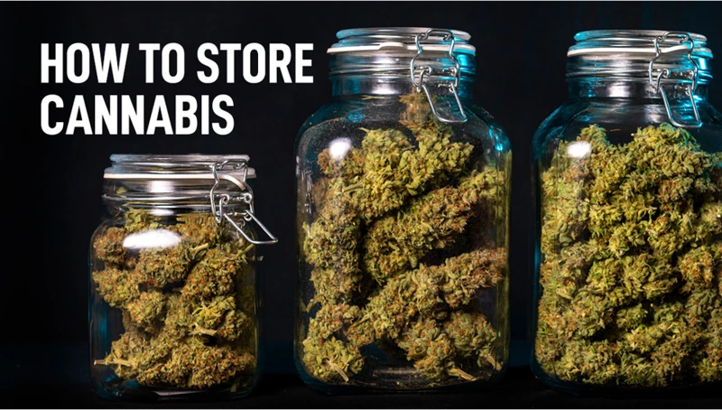 Where To Store Cannabis Buds