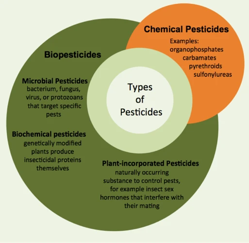 Why Avoid Chemical Pesticides?