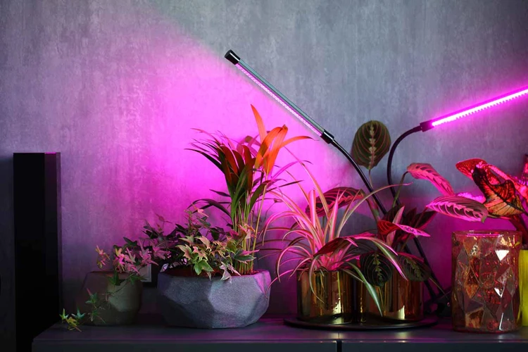 Why Choosing The Right Grow Light Is Important