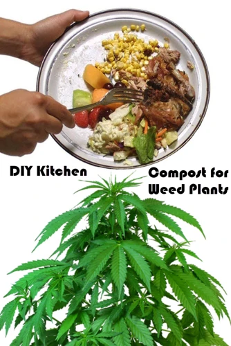 Why Compost Is Important For Cannabis