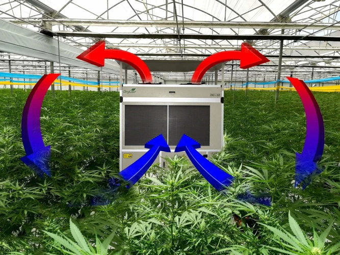 Why Dehumidifiers Are Important For A Cannabis Grow Room
