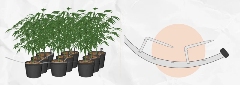Why Drip Irrigation Systems Are Ideal For Cannabis
