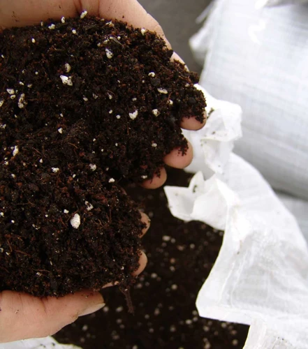 Why Is The Soil Important?