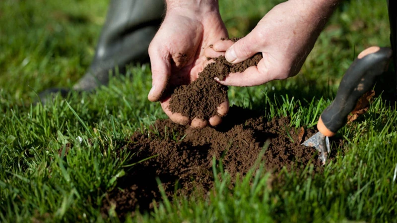 Why Test Your Soil?
