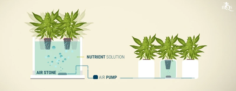 Why Use Nutrient-Enriched Water Solutions?